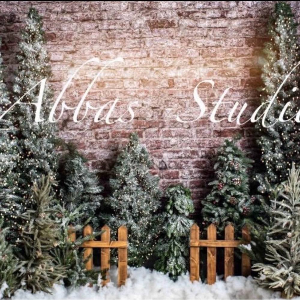 Kate Backdrop Winter Trees on Brick